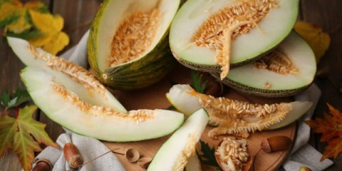 Sjemenke dinje: koristi i štete